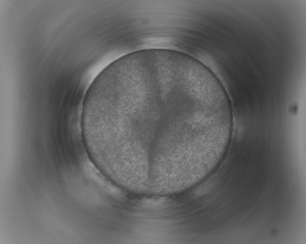 X0000112851386200909181725