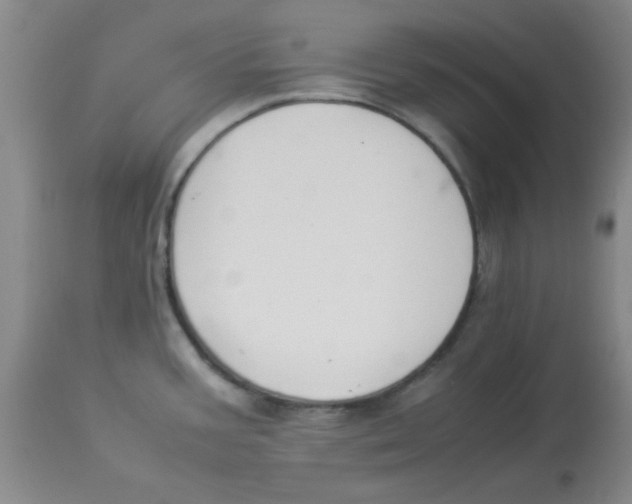 X0000112851387200909181725