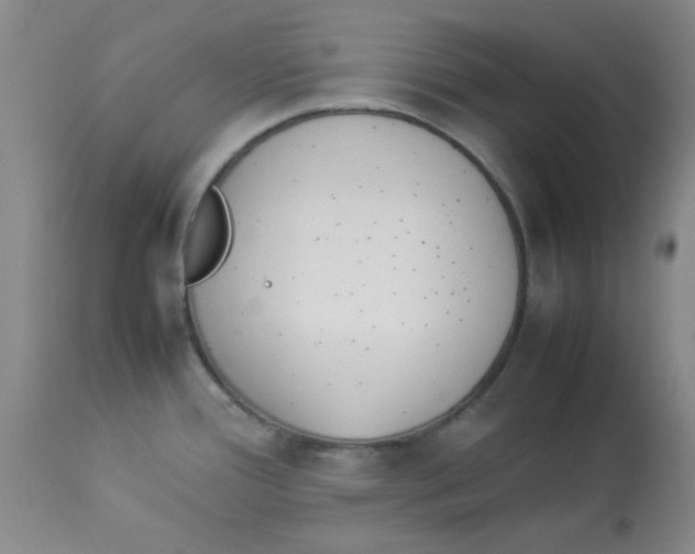 X0000112851388200909181725