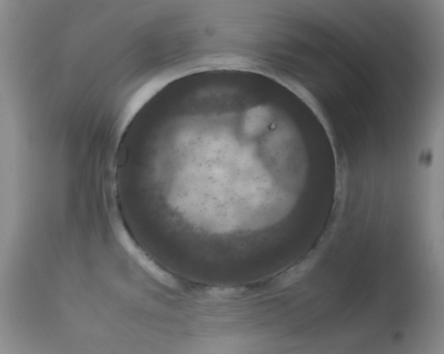 X0000112851389200909181725