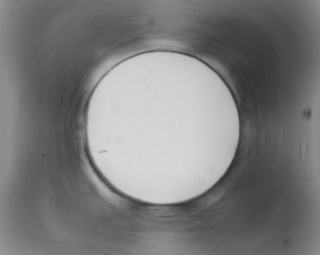 X0000112851391200909181725