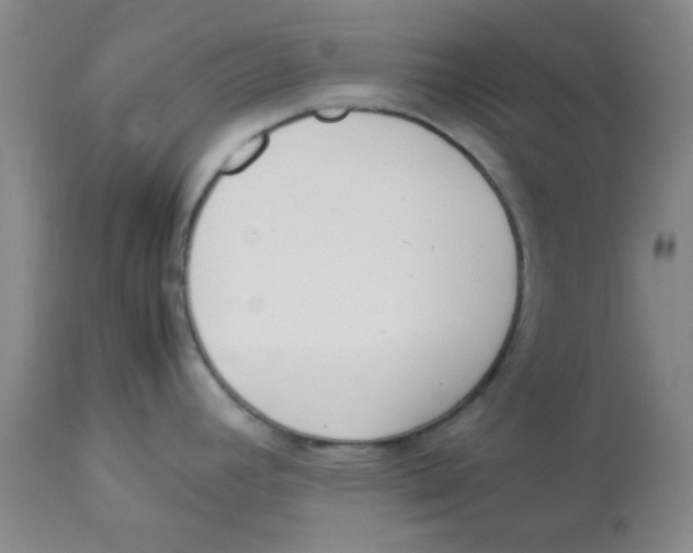 X0000112851392200909181725