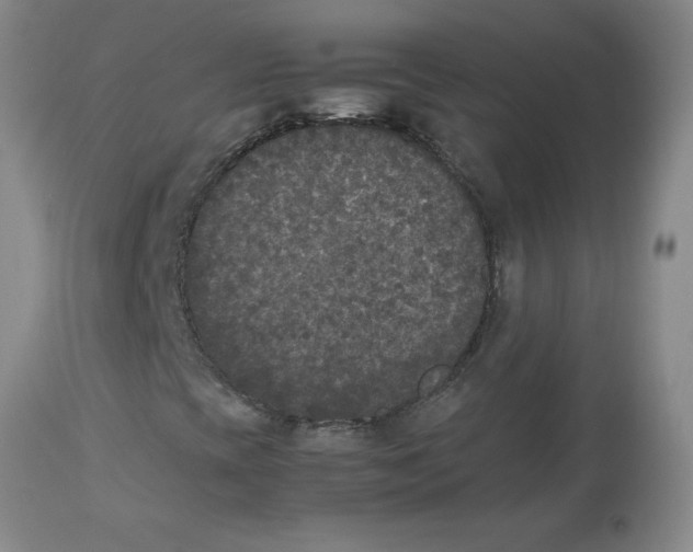 X0000112851393200909181725