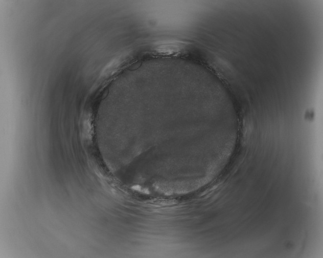 X0000112851394200909181725