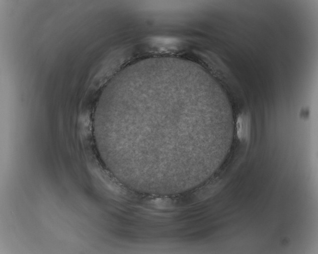 X0000112851395200909181725