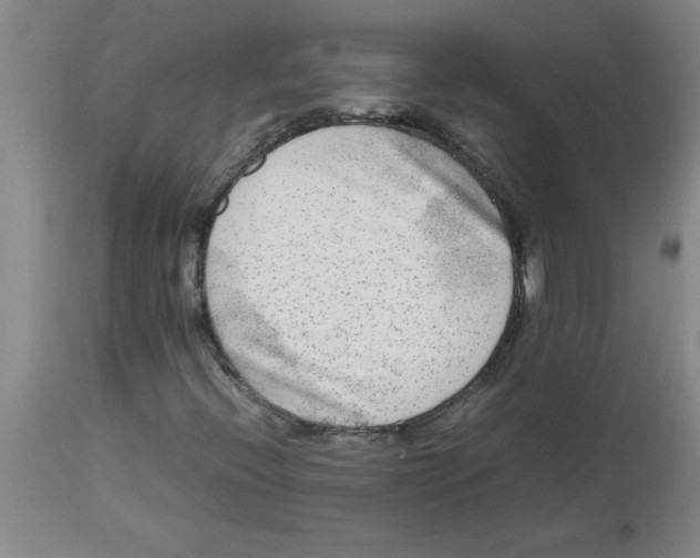 X0000112851396200909181725