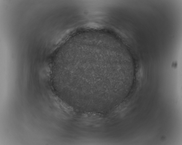 X0000112851397200909181725