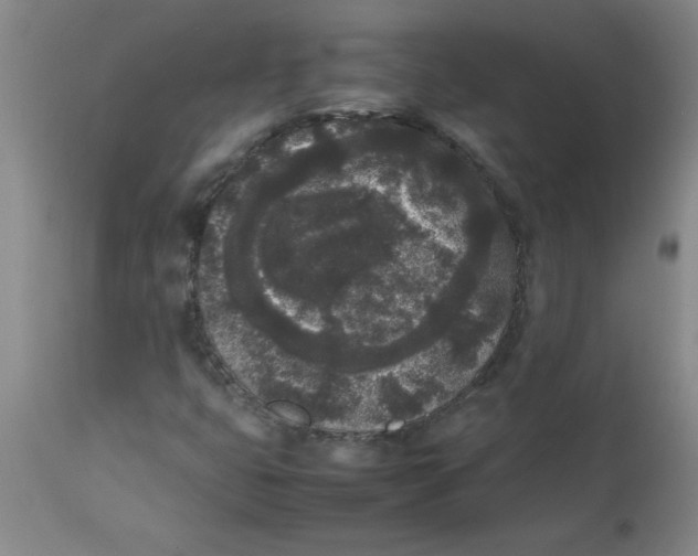 X0000112851399200909181725