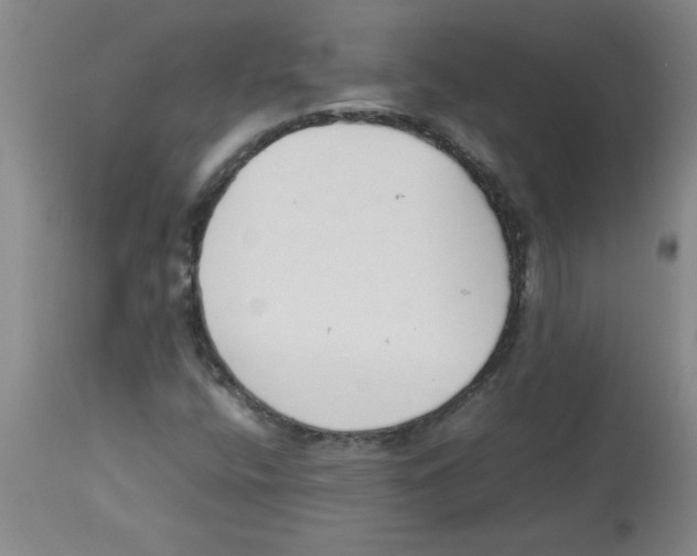 X0000112851400200909181725