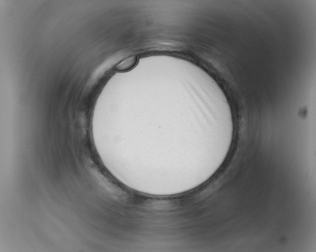 X0000112851402200909181725