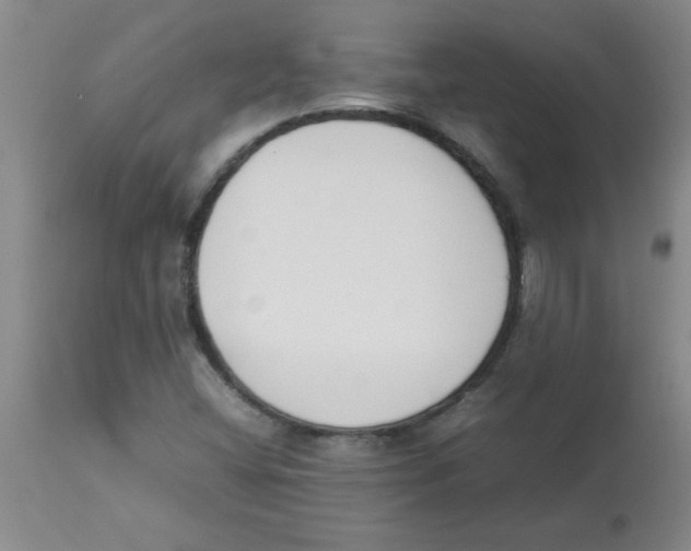 X0000112851404200909181725