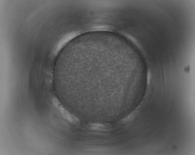 X0000112851405200909181725