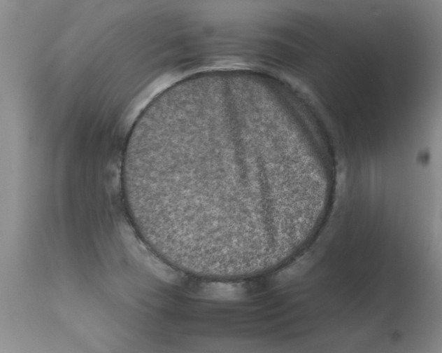 X0000112851409200909181725