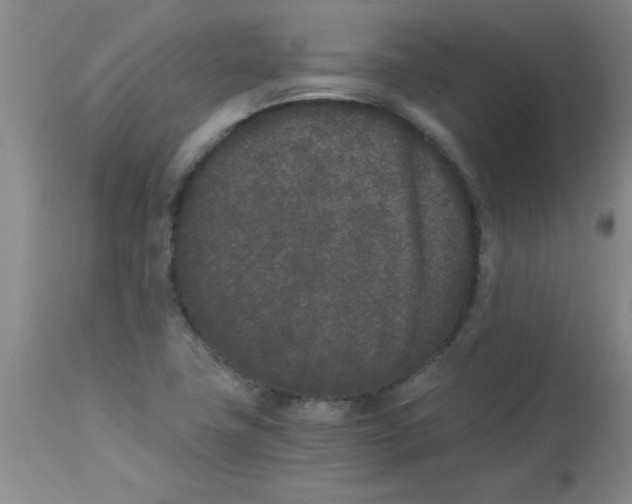 X0000112851411200909181725