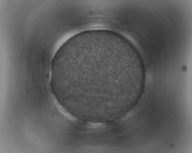 X0000112851413200909181725