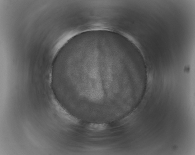 X0000112851415200909181725