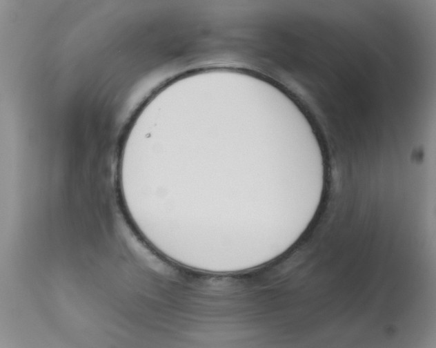 X0000112851416200909181725