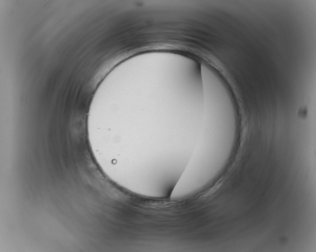 X0000112851417200909181725