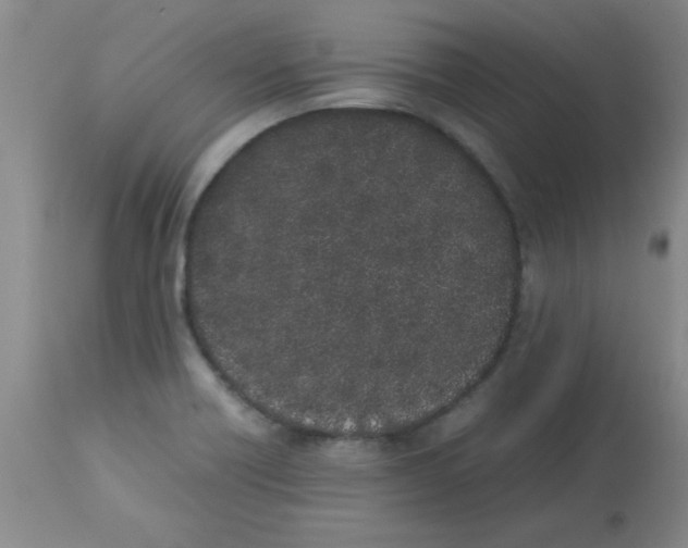 X0000112851418200909181725