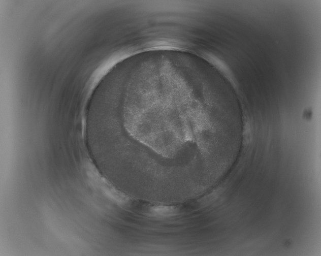 X0000112851419200909181725