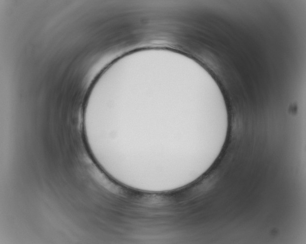 X0000112851420200909181725