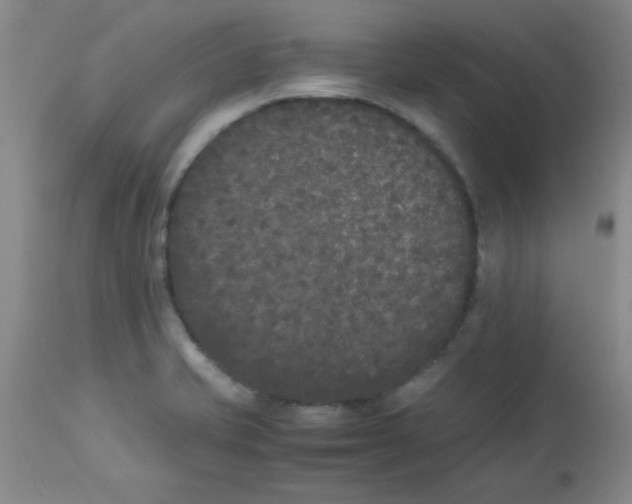 X0000112851421200909181725