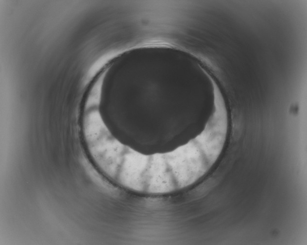 X0000112851422200909181725