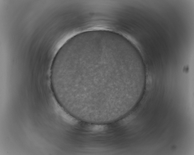 X0000112851423200909181725