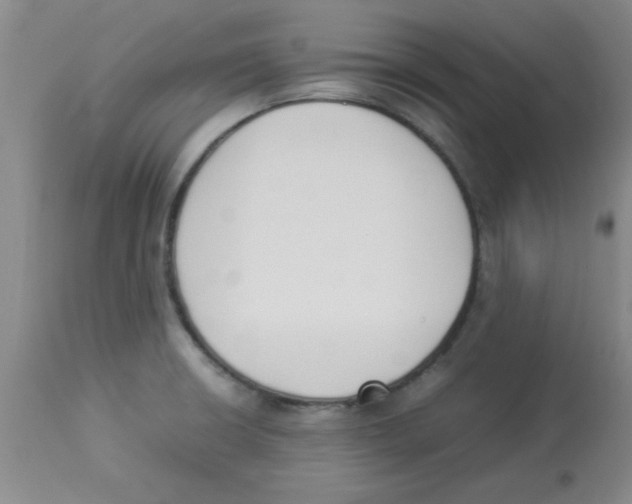 X0000112851426200909181725