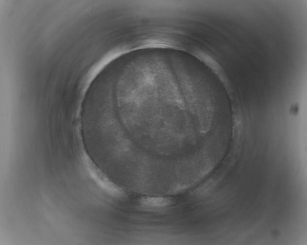 X0000112851427200909181725