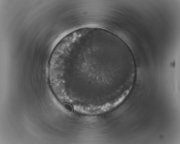 X0000112851428200909181725