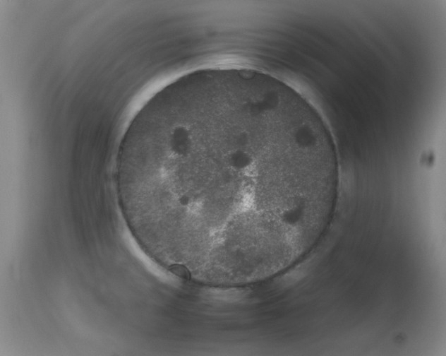 X0000112851429200909181725