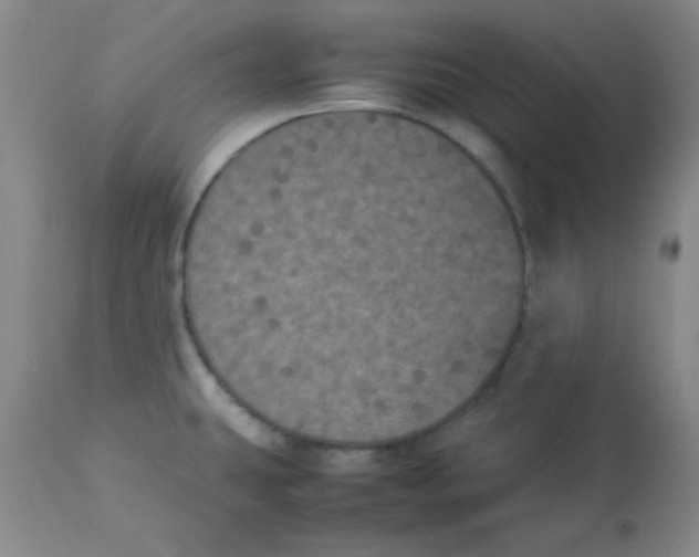 X0000112851431200909181725