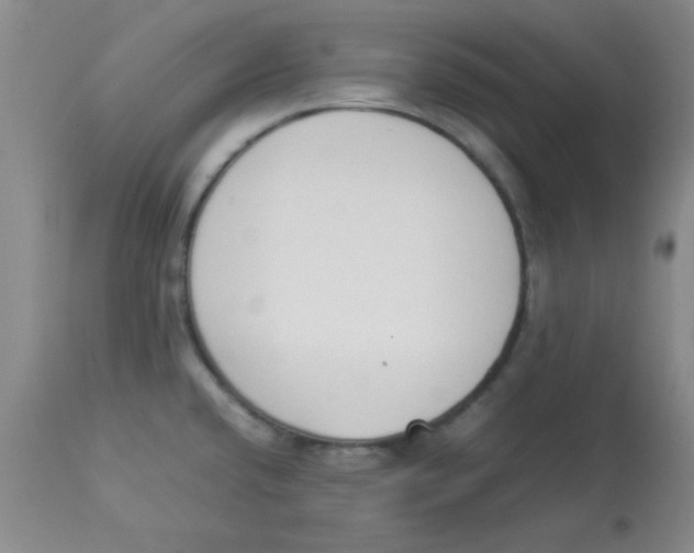 X0000112851432200909181725