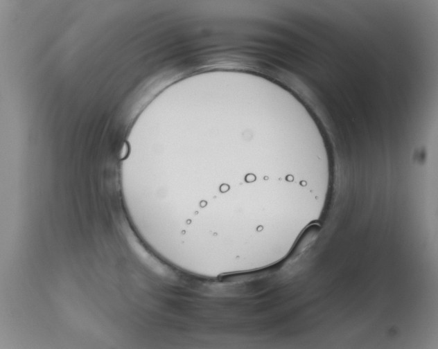 X0000112851433200909181725