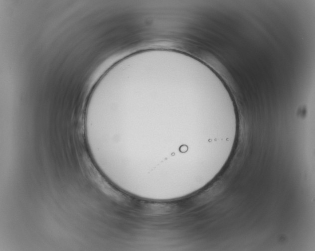 X0000112851436200909181725