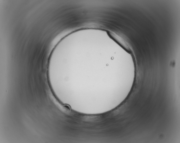 X0000112851437200909181725