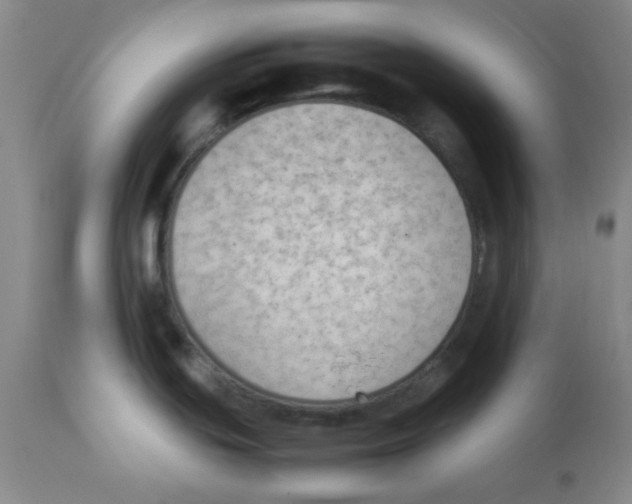 X0000112851439200909181725