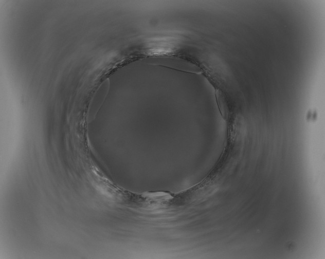 X0000112851441200909181725