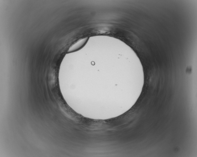 X0000112851442200909181725