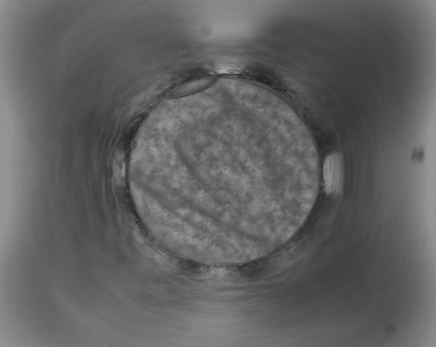 X0000112851443200909181725