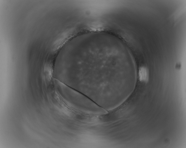 X0000112851444200909181725