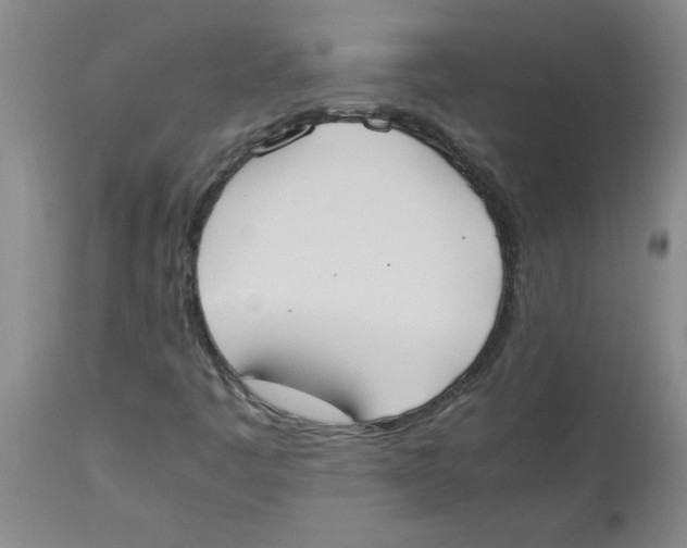 X0000112851445200909181725