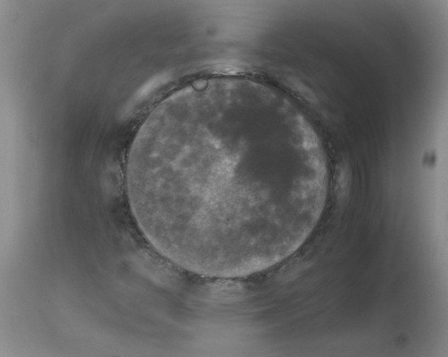 X0000112851446200909181725