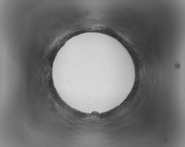 X0000112851447200909181725