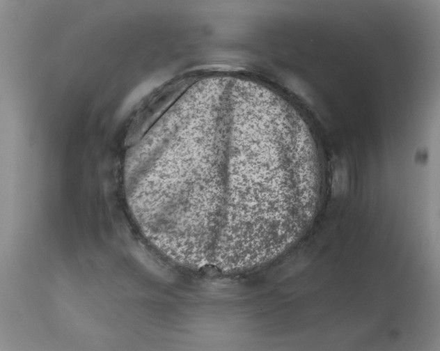 X0000112851448200909181725