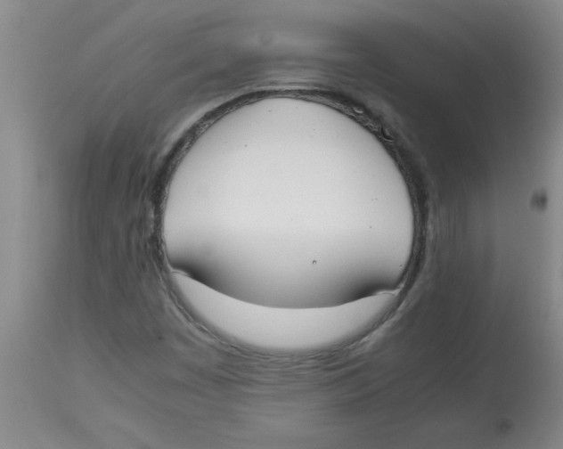 X0000112851449200909181725