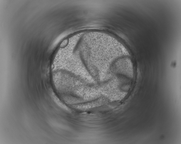 X0000112851450200909181725