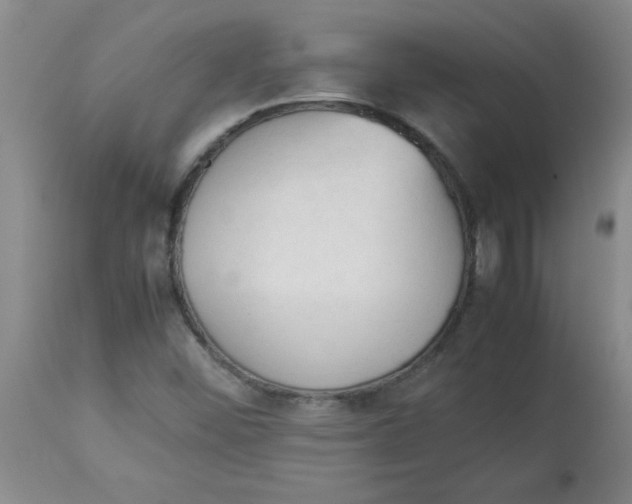 X0000112851452200909181725