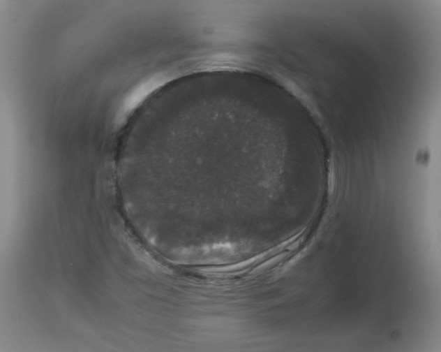 X0000112851453200909181725